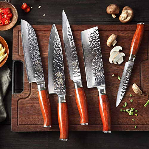 YARENH Cuchillo de Cocina Profesional,Set Cuchillos Cocina de Acero Damasco Japones con 5 Piezas,Mango de Madera Dalbergia,Cuchillos de Chef Marcas Ultra Filoso HTT-Serie
