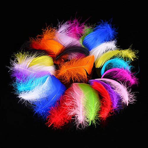 YouU 200 Plumas de Colores para Manualidades, Plumas, Boda, hogar, Fiesta, decoración (8-12cm)
