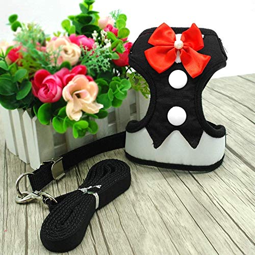 YPSMLYY Correa De Pecho para Mascotas Vestido De Noche con Personalidad De Moda En El Pecho Espalda Chaleco De Esmoquin para Perros Y Gatos Pequeños Conjunto De Correa para Caminar,Black-L