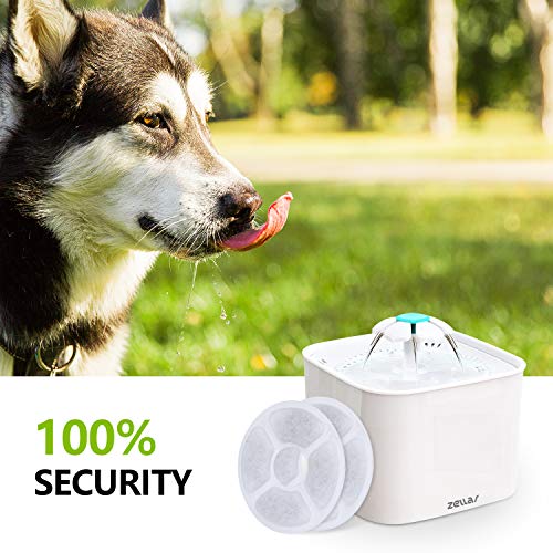 Zellar Filtros de Fuente de Agua Filtros Fuente de Gato Filtros de Repuesto Carbón Activo para Fuente de Agua Automática de Mascotas Fuente de Agua para Dispensador de Agua para Perros (6 Piezas)