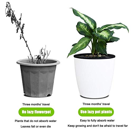 ZXD Self Watering Pots Watering Planter Cubierta al Aire Libre Jardín Planta Resistencia a la corrosión Durable Planta de Interior Tiesto Espacio de Almacenamiento de Agua Diseño de Contenedores