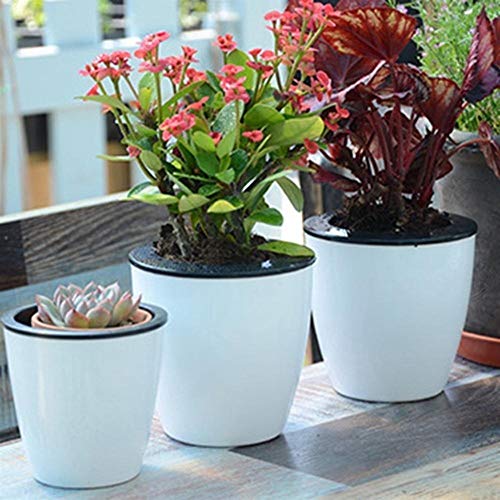 ZXD Self Watering Pots Watering Planter Cubierta al Aire Libre Jardín Planta Resistencia a la corrosión Durable Planta de Interior Tiesto Espacio de Almacenamiento de Agua Diseño de Contenedores