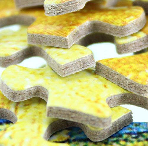ZZXSY Puzzle 1000 Piezas La Catedral De Salamanca Es Una Catedral Gótica Y Barroca Tardía En La Ciudad De Salamanca Castilla Se Puede Usar como Regalo De Cumpleaños