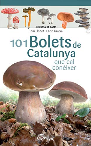101 Bolets De Catalunya: que cal conèixer