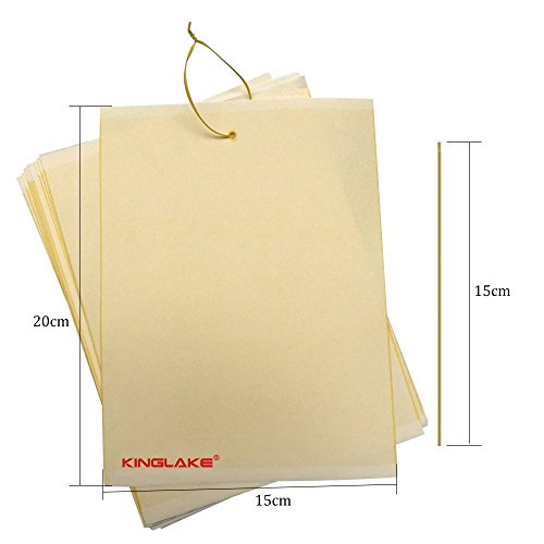 15 x 20 cm Trampas adhesivas para moscas, insectos, piojos (10 unidades)