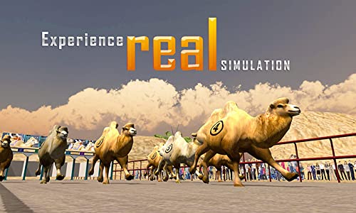 3D simulador de carreras de camellos