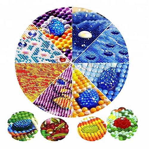 5D DIY Llaveros Diamante Pintura Kits para Adultos Paquete de 5 mariposas.
