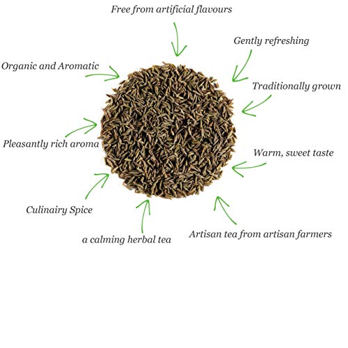 Alcaravea orgánica culinaria semillas - Infusión gourmet en semillas enteras Carum carvi - carvia - caravai - alcaravia - comino de prado - alcarabia alcarahueya 100g
