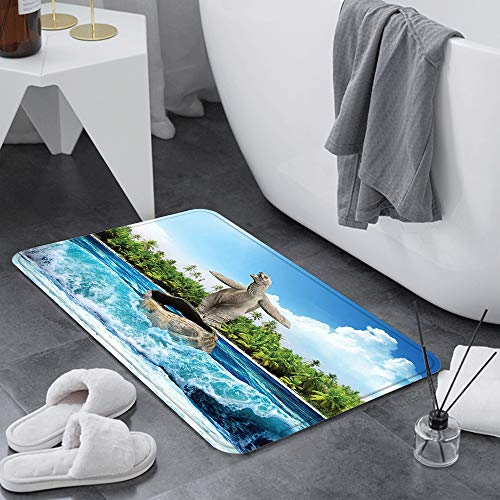 Alfombrillas de baño de Microfibra Alfombrillas de baño absorbentes,Animal, tortuga desnuda dejó su caparazón grande ,Alfombrillas de baño Lavables Alfombrilla de baño de Goma Antideslizante 60x100 cm