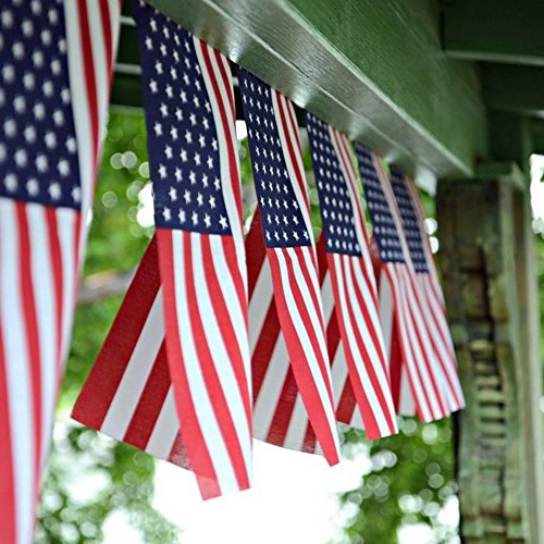 Anley USA Estados Unidos Banderines Banderas con Cordel, Eventos Patrióticos 4 de Julio Día de la Independencia Decoración Sports Bar Deporte - 10 Metros 38 Banderas