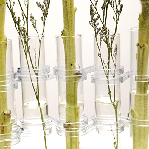 Cabilock 1 Juego Tubo de Ensayo Florero Vidrio Cristal Planta de Escritorio Terrario Macetas Contenedor Hidropónico Decoración del Hogar para La Boda de La Oficina en Casa (18X3cm)