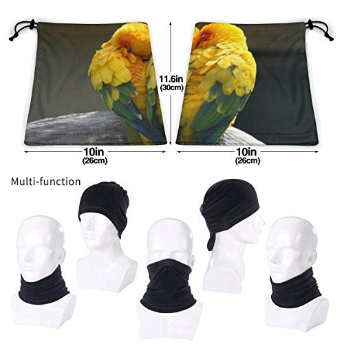 Cara domino Polvo Viento Cuello Bandana Sombreros Pañuelo facial