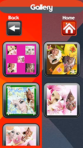 Collage de la foto del lirio