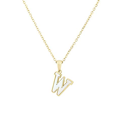 Collar de la cáscara de acero inoxidable de 26 letras, acero Inglés titanio,VS