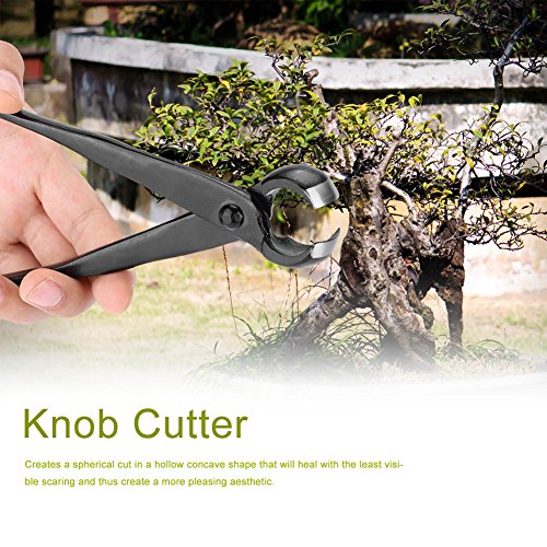 Cortador cóncavo - Cuchilla afilada profesional Borde redondo Perilla cóncava Cortador de rama, Herramientas de jardín Bonsai 210 mm