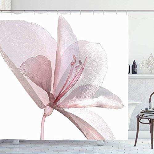 Cortina De Ducha,Naturaleza Aislada Hermosa Flor Amarilis Blanca 3D Belleza Floración Planta Rayo Flor Primer Plano Floral Colorido Impresión Cortinas De Baño