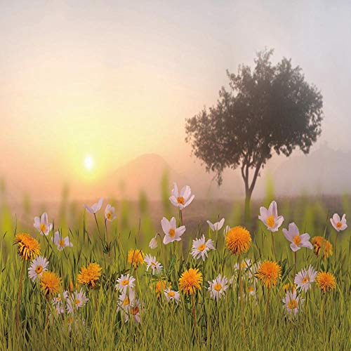 Cortinas de impresión de Sombra, Cortinas de Fibra de poliéster 3D con Flores de Pasto, decoración Interior Fresca, Cortinas Opacas Altas (59" W x 65" H), Juego de 2 Paneles