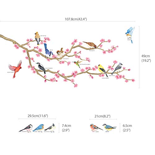DECOWALL DWL-2009 Aves de jardín y flor de cerezo Vinilo Pegatinas Decorativas Adhesiva Pared Dormitorio Salón Guardería Habitación Infantiles Niños Bebés