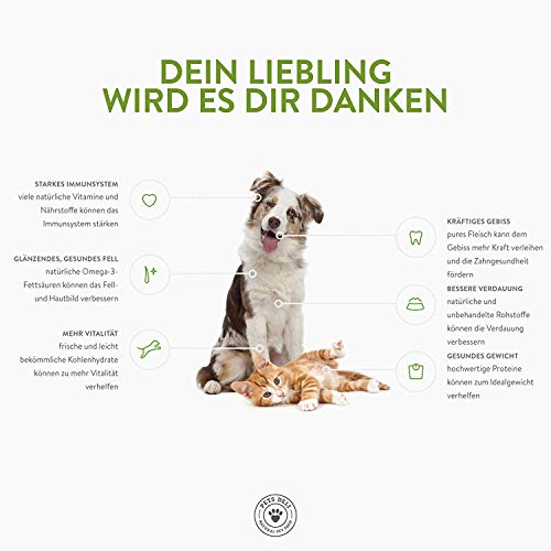 Deli Pets Comida húmeda para Perros 1,2 kg - Pack de 6 | Ternera de Primera Calidad con brócoli, Papaya, Amaranto y albahaca - con 50% de Carne | sin Cereales ni aditivos innecesarios