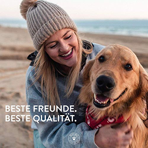 Deli Pets Comida húmeda para Perros 1,2 kg - Pack de 6 | Ternera de Primera Calidad con brócoli, Papaya, Amaranto y albahaca - con 50% de Carne | sin Cereales ni aditivos innecesarios