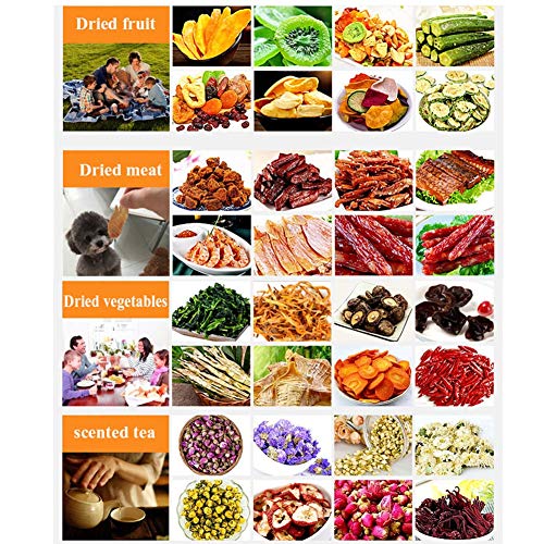 Deshidratadores de alimentos Mini secador de fruta, secador de comida, carne de vegetales y frutas deshidratador, 5-capa de capacidad de la bandeja de cocción, temperatura 8 velocidad ajustable, de ap