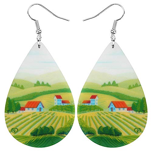 DFHTR Pendientes De Acrílico Lágrima Casa Rural Tierras De Cultivo Colgar Joyería para Los Pendientes De Las Mujeres Niñas Niños Encanto Decoración Regalos De Fiesta
