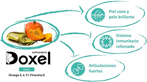Doxel 4all-1litro - Aceite para Perros| Suplemento Natural | Sistema Inmunitario Reforzado| Articulaciones| Pelo Brillante| Piel| Ácidos grasos Omega 3 6 9| Vitamina E| Alergias Perro|Natural
