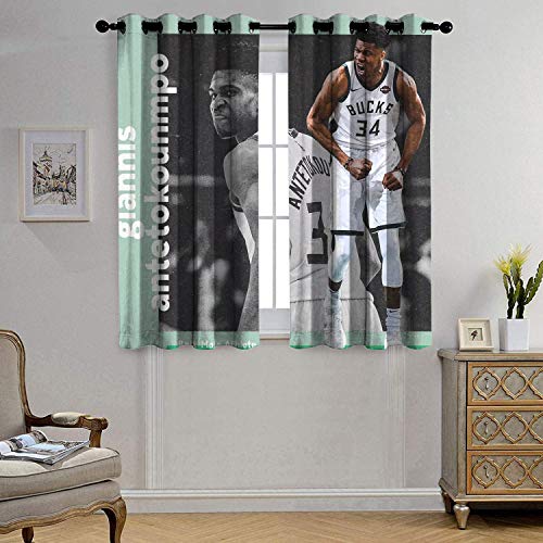 DRAGON VINES - Cortinas opacas para sala de estar y dormitorio (2 paneles)