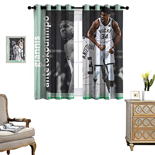 DRAGON VINES - Cortinas opacas para sala de estar y dormitorio (2 paneles)