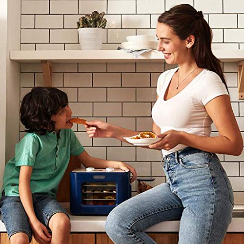 DRYER Deshidratador De Alimentos, MáQuina De Frutas Secas DoméSticas Capacidad 8L Bandeja De Metal De Acero Inoxidable De 4 Capas para Secadora De Frutas/Verduras/Carne/Medicamentos BPA-Free