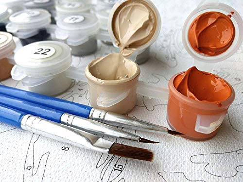 DSJDSFH DIY Pintado A Mano Pintura Al Óleo Digital Set Pintura-Coral Reflejo Paisaje-Decoración Del Hogar Manualidades Niños Adultos Aplicable Regalo De Vacaciones 40X50Cm