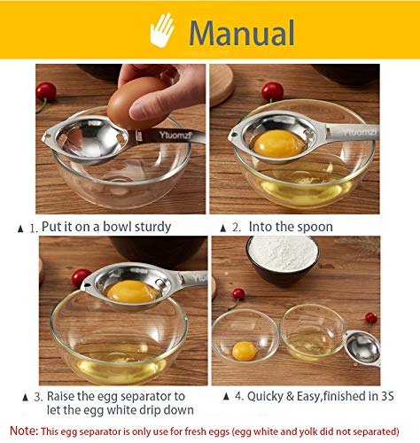 eBuy.INC fdq01 EI eigelb Proteínas separador Calidad Alimentaria Divider Acero Inoxidable separador eitrenner eigelbtrenner – Separador eiweißtrenner Egg separador – Cortador de huevos, Plata