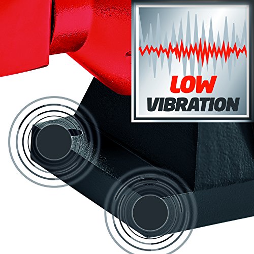 Einhell TC-WD 150/200 - Esmeriladora seco-húmedo, con disco abrasivo/de lijado, 250 W, 230 V, color rojo