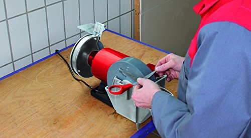 Einhell TC-WD 150/200 - Esmeriladora seco-húmedo, con disco abrasivo/de lijado, 250 W, 230 V, color rojo