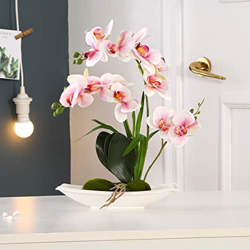 ENCOFT Flores Artificiales Plástico Flor de Phalaenopsis Realista Orquídea Mariposa con Maceta Imitación Cerámica Decoración