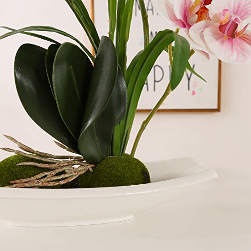 ENCOFT Flores Artificiales Plástico Flor de Phalaenopsis Realista Orquídea Mariposa con Maceta Imitación Cerámica Decoración