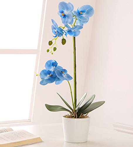 ENCOFT Flores Artificiales Plástico Flor de Phalaenopsis Realista Orquídea Mariposa con Maceta Imitación Cerámica Decoración (Azul (M))