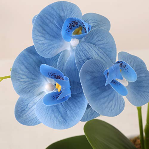 ENCOFT Flores Artificiales Plástico Flor de Phalaenopsis Realista Orquídea Mariposa con Maceta Imitación Cerámica Decoración (Azul (M))