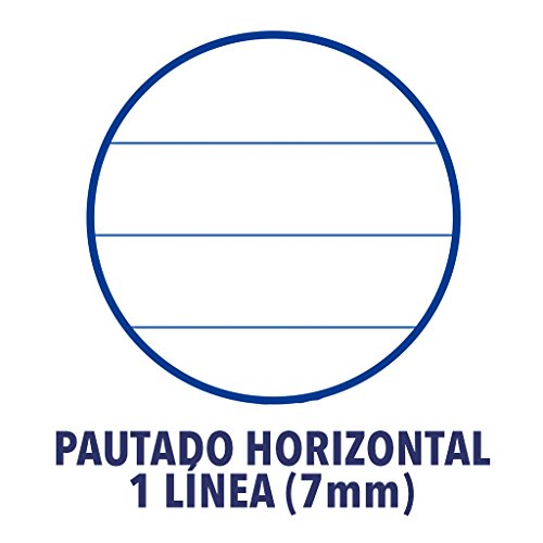 Enri 100430068 - Pack de 5 cuadernos espiral, tapa dura, Fº