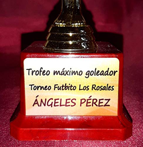 Estatuilla Tipo Óscar para Personalizar y Regalar en Ocasiones Especiales, Trofeo Personalizado. Med.24,7 cm