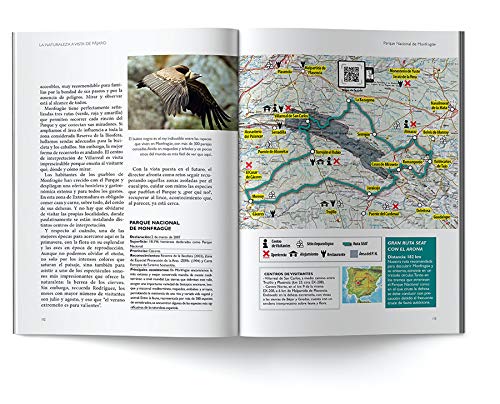 Explora y descubre tus parques. Guia seat de los parques nacionales de España - Volumen  I
