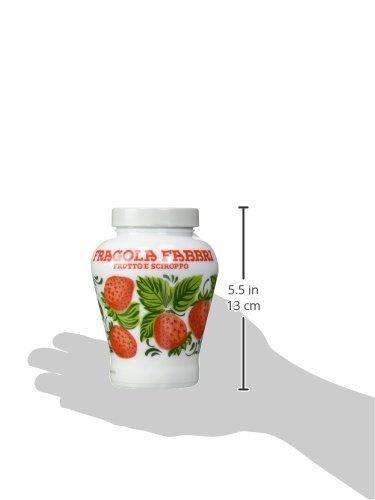 Fabbri - FRAISES AU SIROP 600GR