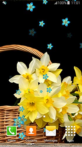 Fondos de Pantalla de Daffodils Live