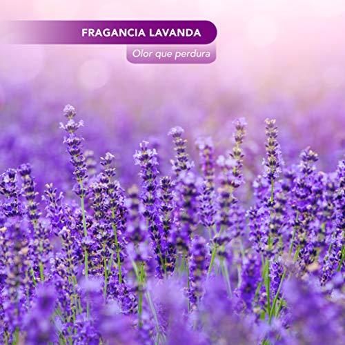 Fregasuelos insecticida producto limpieza anti cucarachas, hormigas, pulgas, chinches, arañas y todo tipo de insectos limpiador friega suelo industrial y hogar 5 litros perfumado lavanda