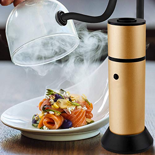 Fumador Pistola + Astillas De Madera Humo Infusor Fumador De Alimentos Salmón Ahumado Salchicha Ahumador De Carne Fumador Portátil Fumador Portátil para Cocinar BBQ-Oro