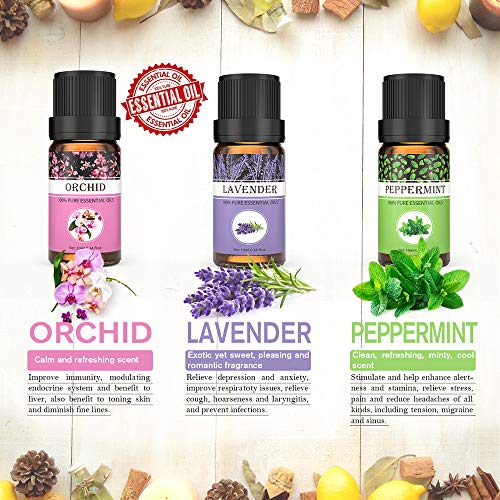Funria Aceites Esenciales, 100% Puro y Natural Aceites Esenciales de Aromaterapia para Difusor - Set de Aceite Perfumado de Lavanda, Menta, Limón, Naranja Dulce, Jazmín, Orquídea, 6 x 10ML