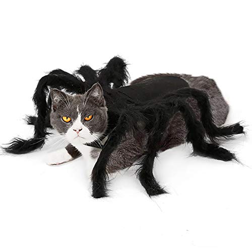 Geneic Disfraces de Halloween para Perros Gatos Mascotas Ropa Arañas Horribles Mascotas Divertidas Disfraz de Cosplay Pequeño Tamaño Mediano (S)