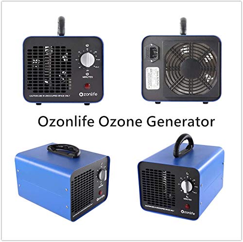 Generador de ozono comercial 10000 mg Ozono purificador de aire O3