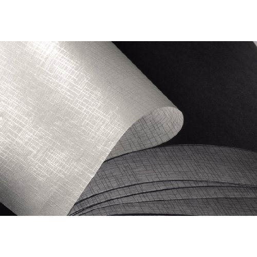Hama 113681 - Álbum de fotos (50 páginas negras, álbum con espiral, compartimento para insertar foto) 28 x 24 cm,  color beige