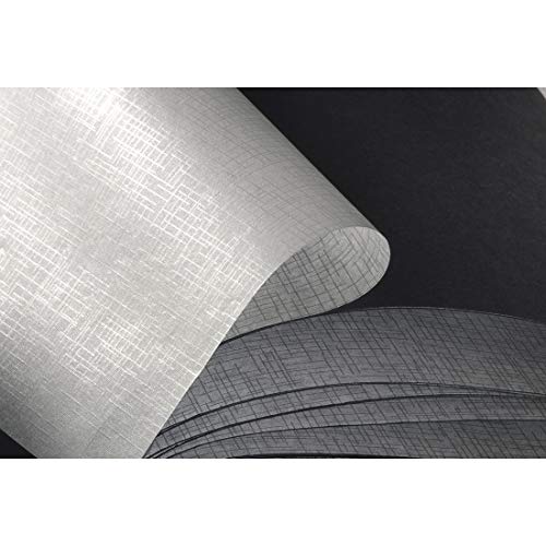 Hama Fine Art Jumbo - Álbum de fotos 30 x 30 cm, 100 páginas, 50 hojas